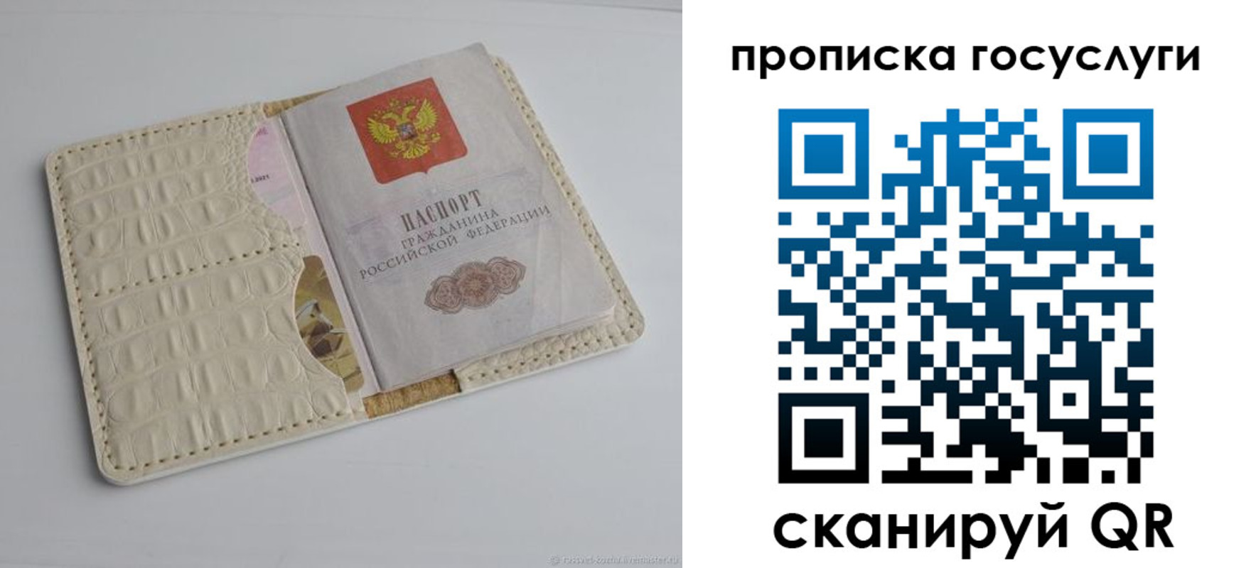 прописка в Архангельске